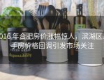 2016 年合肥房价涨幅惊人，滨湖区二手房价格回调引发市场关注