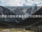 合肥鼎元智能装备有限公司招聘简章