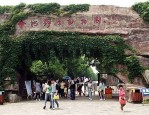 合肥旅游酒店预订增速位居前列，小城市有大城市的方式