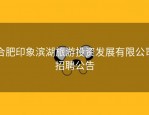 合肥印象滨湖旅游投资发展有限公司招聘公告