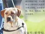 2020年导盲犬被禁入海底捞事件引发热议，网友意见分歧，歌手回应导盲犬安全性