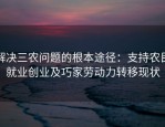 解决三农问题的根本途径：支持农民就业创业及巧家劳动力转移现状