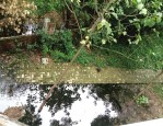 蜀山区红园小区停车场违建仓库出租，物业不闻不问遭居民投诉