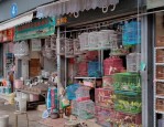 探索合肥特色街道：裕丰花鸟市场、回民牛羊肉街与巢湖茶叶市场