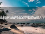 合肥多场招聘会紧锣密鼓招揽人才