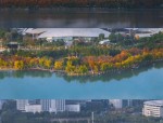 探索合肥天鹅湖：自然美景与丰富生态的城市绿洲