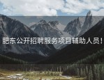 肥东公开招聘服务项目辅助人员！
