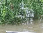 合肥市启动巢湖流域防汛应急1级响应 安徽多地遭遇暴雨灾害已致27人死亡