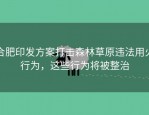 合肥印发方案打击森林草原违法用火行为，这些行为将被整治