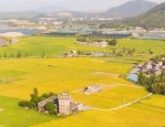 红子和小可的乡村生活：跟着植物走，享受宁静与美好