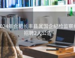 2024年合肥长丰县属国企纪检监察组招聘2人公告
