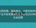 合肥招聘，国有单位，合肥创和养老产业开发有限公司及子公司2024年度社会招聘