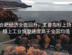 合肥经济全面回升，主要指标上扬，规上工业恢复速度高于全国均值