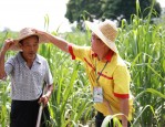 翔孚石化：绿色清新、服务周到，悄然走进人们生活的加油站