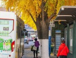 合肥长江路：安徽第一路的历史沉浮与繁华变迁