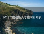 2023年度创新人才招聘计划表
