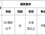 专业不限！肥东县马湖乡聘用人员招聘公告