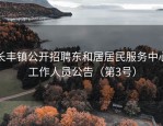 长丰镇公开招聘东和居居民服务中心工作人员公告（第3号）