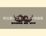 职位晋升之路：从新手到高管
