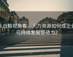 从战略视角看，人力资源如何成企业可持续发展驱动力？