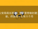 公安局局长程瀚：骨子里想做封建王侯，终获刑十七年六个月