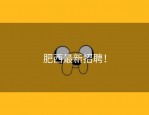 肥西最新招聘！