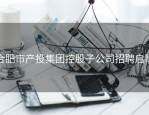 合肥市产投集团控股子公司招聘启事