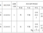 2024年合肥长丰县水湖镇公开招聘村  （社区）干部12人公告