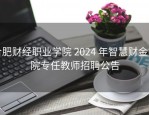 合肥财经职业学院 2024 年智慧财金学院专任教师招聘公告