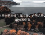 五月六月毕业生找工作，合肥这些好单位等你来