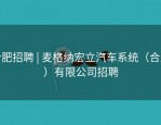 合肥招聘 | 麦格纳宏立汽车系统（合肥）有限公司招聘