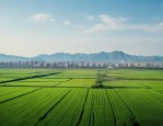 全球疫情下中国面临挑战，乡村产业振兴对扩大内需意义重大