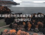 滨湖房价为何跌得最厉害？会成为下一个新站吗？