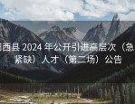 阳西县 2024 年公开引进高层次（急需紧缺）人才（第二场）公告