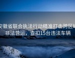 安徽省联合执法行动精准打击跨区域非法营运，查扣15台违法车辆