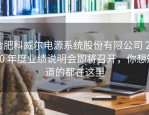 合肥科威尔电源系统股份有限公司 2020 年度业绩说明会即将召开，你想知道的都在这里