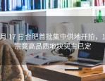 3 月 17 日合肥首批集中供地开拍，15 宗竞高品质地块买主已定