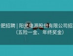 合肥招聘 | 阳光电源股份有限公司招聘（五险一金、年终奖金）