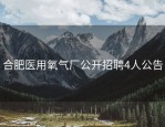 合肥医用氧气厂公开招聘4人公告