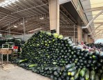 合肥高温下冰块需求激增：周谷堆市场日入近2万，冰块销售店如何应对夏季高峰？