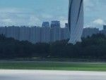 合肥骆岗公园：从国际机场到城市之肺，1200万游客见证网红变长红