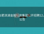合肥滨湖金融投资集团公开招聘12人公告
