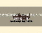 劳动合同管理表：高效规范的人力资源管理工具