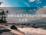 2024年合肥北城某大型国企公开招聘2人公告