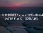 企业竞争激烈下，人力资源总监高薪热门且机会多，薪资几何？