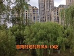 合肥春季天气大转变：从雷雨冰雹到29℃高温，春约不可错过