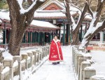 合肥初雪如天仙狂醉，庐州银装素裹浪漫无限，雪景内卷大战开启
