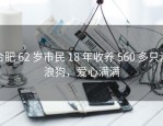 合肥 62 岁市民 18 年收养 560 多只流浪狗，爱心满满