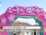 岗集大爆发！58.5 平方公里文旅区规划曝光，新建特色小镇，打造合肥经济引爆点