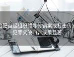 合肥首起组织领导传销案成打击传销犯罪突破口，成果显著